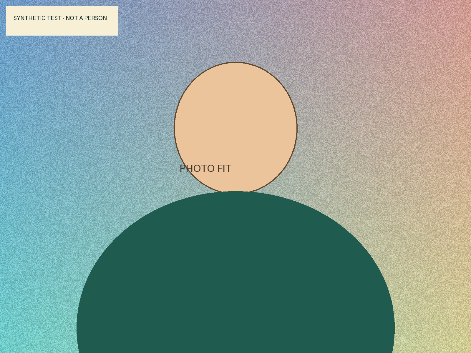 Synthetic test image made from shapes, not a real person.